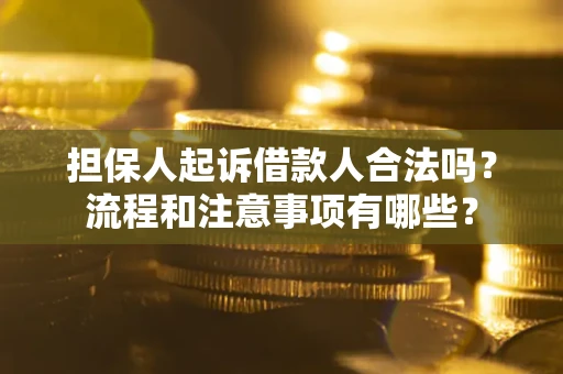 济南担保人起诉借款人合法吗？流程和注意事项有哪些？